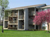 Brookfield Village 1 of 1